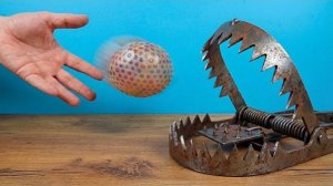 Что, если бросить Антистресс из неньютоновской жидкости в Мышеловку? Alex Boyko