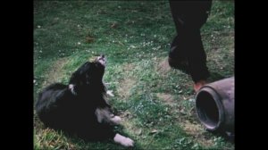 Destination Blaenau - Rhoslyn Spiral