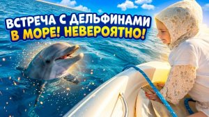 Египет - в поисках диких дельфинов. Где найти и сколько стоит?