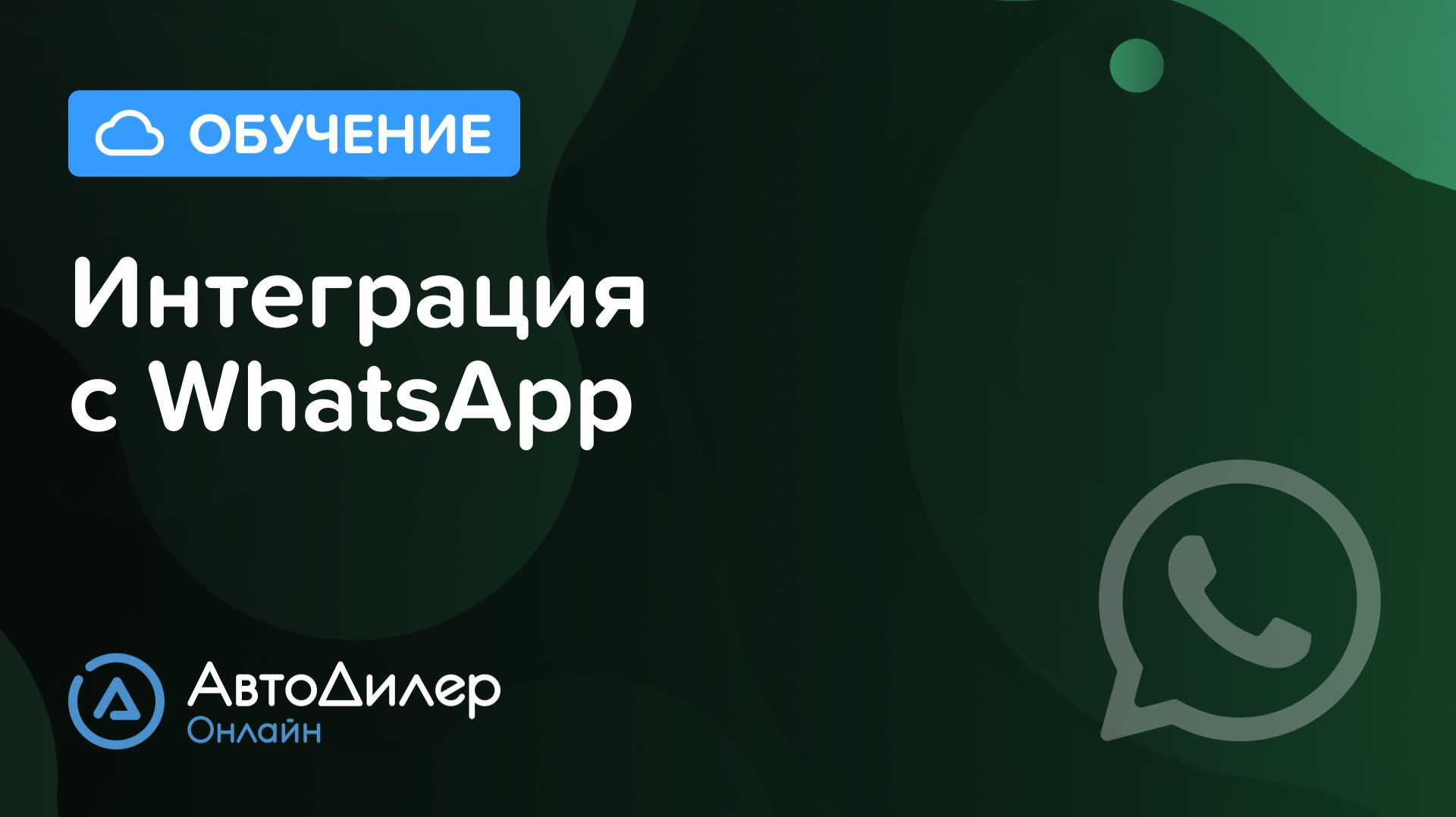 Интеграция с WhatsApp. АвтоДилер Онлайн – Программа для автосервиса и СТО. смотреть онлайн