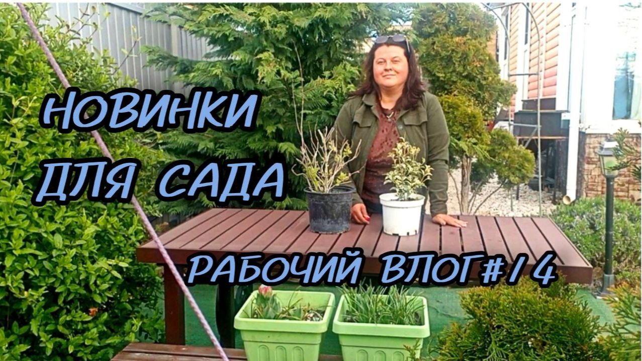 Новинки для Южного сада. Снова пересадки. Реставрируем обеденную зону возле бани.