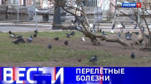 Вести Санкт-Петербург. Выпуск 08.00 от 26.04.2026