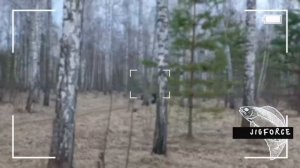 В лес, пока не высохло🤣