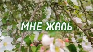 МНЕ ЖАЛЬ. (романс).