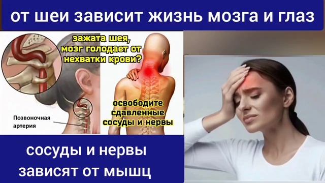 Проблемы с шеей, голенями, стопами? Включите боковую мышечную цепь. Упражнения