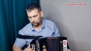 тамзатуманами #игорьматвиенко #любэ #разборнагармони #врекомендации #николайголовинов