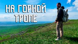 Тропы горы Стрижамент / Луга, могучий лес, звери и птицы