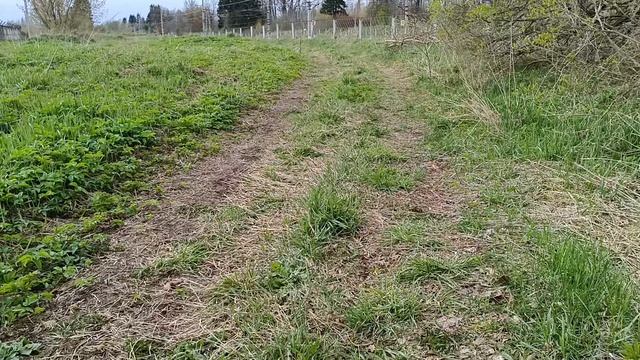 ЭВС2 Москва Санкт Петербург