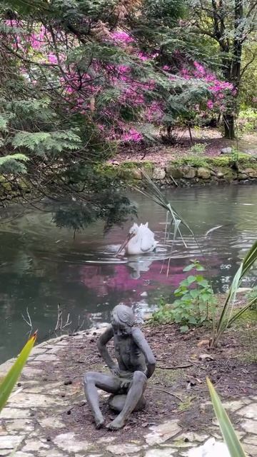 В Дендрарии