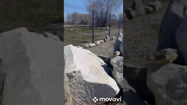 Выставка валунов ,глыб змеевиков  в Парке-Музее Каменный  Лабиринт город Бийск Алтайский край