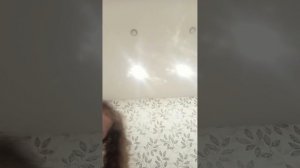 продолжение пятая часть лайки следующая будет шестая часть лайки