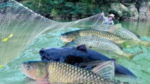 Девушка ловит рыбу сетями на небольшой реке и продает ее на рынке. Жизнь во Вьетнаме