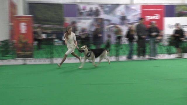 Ольвал Дэнис Ярд