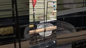 купацца или не купацца?не.огурец.сириксирик)))