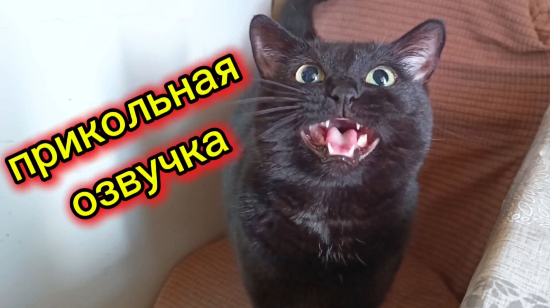 ПРИКОЛЬНАЯ ОЗВУЧКА.