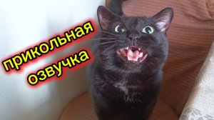 ПРИКОЛЬНАЯ ОЗВУЧКА.