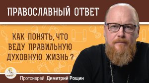 Как понять, что веду правильную духовную жизнь?  Протоиерей Димитрий Рощин