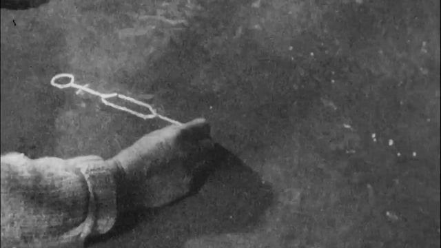 Dracone Experiment