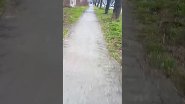 вечерная прогулка