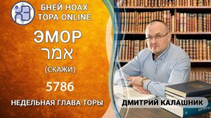 «Эмор» 5786/2026. Недельные главы Торы - Парашат а-шавуа | Дмитрий Калашник