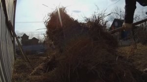 6 соток 2 ноября 2025 г