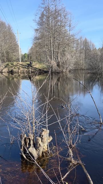 Арда! Открытие сезона!