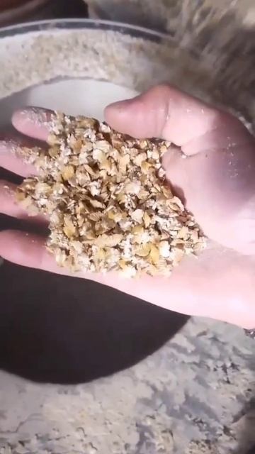 плющение овса