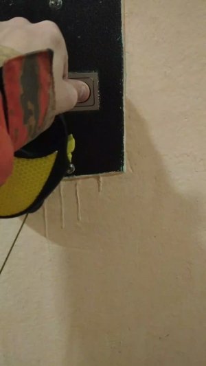 Мы идём гулять с собакой! | 26-апр-2026