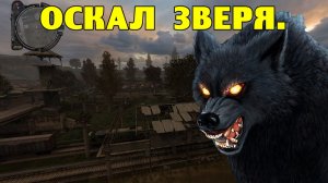 Путь А.н.т.и.к.в.а.р.а. Оскал зверя.