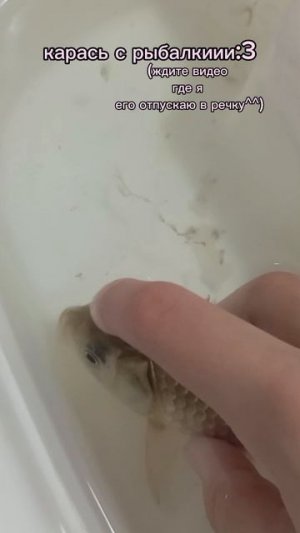 :3