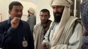 Работа переводчиком в МККК