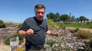 Самое лучшее средство от нервов!