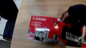 еду за минисинтом) миниблог