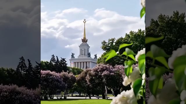 Вот и перезимовали!!