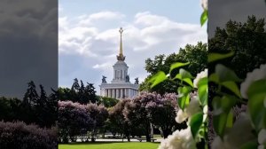 Вот и перезимовали!!