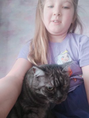 трансляция номер два вместе с шелдоном