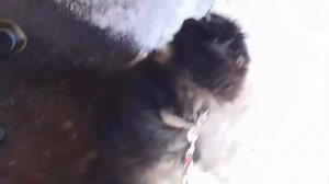 мое первое видео