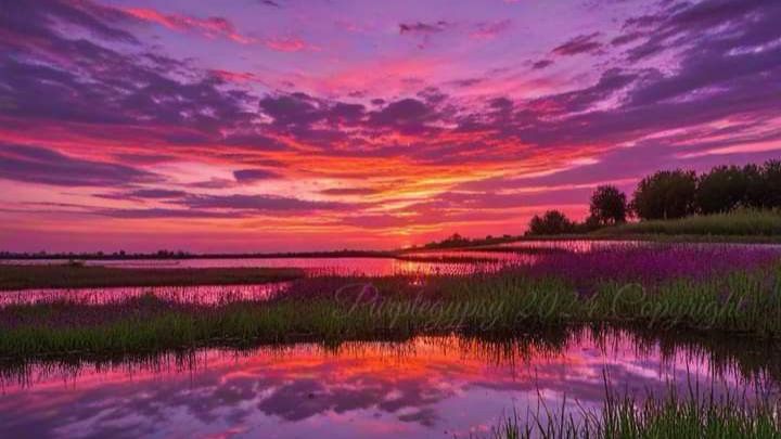 Коран сура Аль-Хьадид чтец Мухаммад аль-Факих