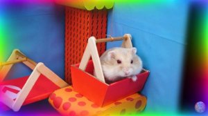 Приключения хомячка — Великое путешествие в мусорном вагоне! часть 4