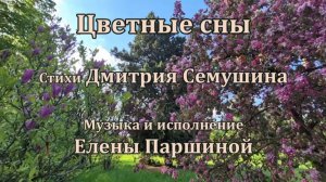 Елена Паршина - Цветные сны (ст.Д.Семушин)