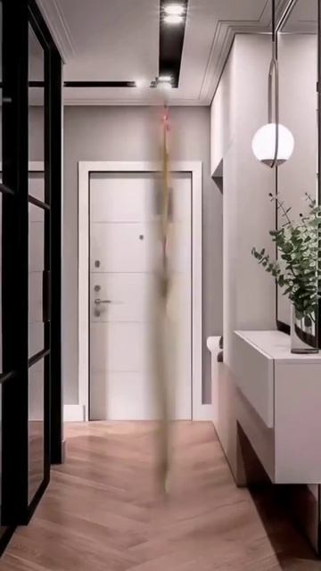 котята пояснят)