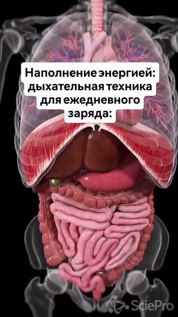 Наполнение энергией: дыхательная техника для ежедневного заряда