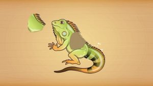 Мульт-развивашка, детский познавательный мультфильм, видео-головоломка.