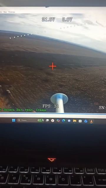 Ройойойойойойо