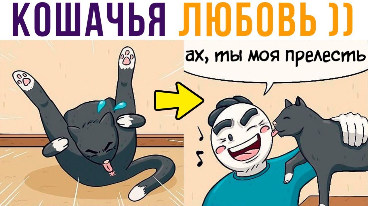 КОШАЧЬЯ ЛЮБОВЬ))) ахахахах))) Комиксы
