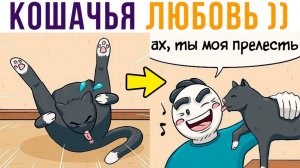 КОШАЧЬЯ ЛЮБОВЬ))) ахахахах))) Комиксы