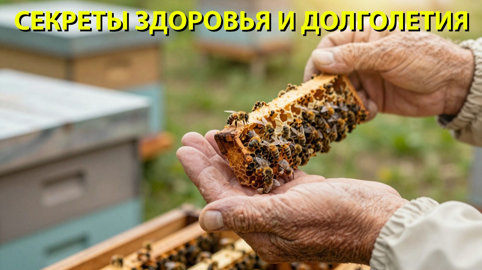 Секрет долголетия от 96-летнего профессора: Почему пчеловоды живут дольше всех?