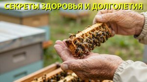 Секрет долголетия от 96-летнего профессора: Почему пчеловоды живут дольше всех?