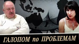 Последнее поколение капитализма, или политическое любопытство  кухарки (А. Новицкий)