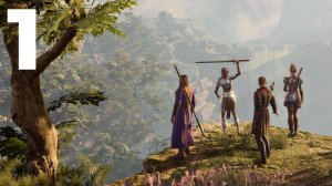 Baldur's Gate 3 Прохождение часть 1